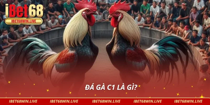 Tìm hiểu chi tiết thông tin nổi bật về đá gà C1