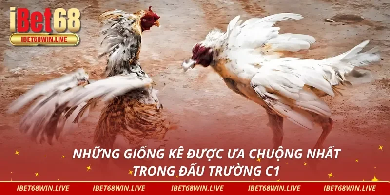 Những giống ưa chuộng trong đá gà C1