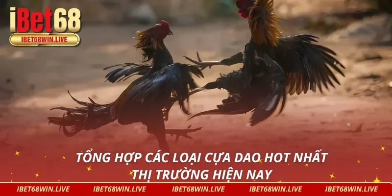 Các loại cựa dao phổ biến nhất trong đá gà cựa dao